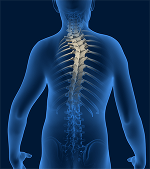  Spine Deformities 